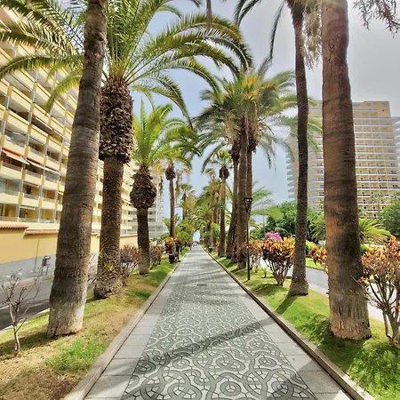 Alta Groundfloor Apartments Puerto de la Cruz  Exterior photo